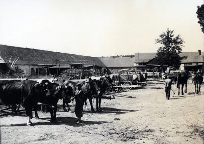 Landwirtscahftlicher Betrieb im Innenhof von Kresau, ca 1920